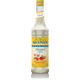 Monin Almond Sugar Free Syrup