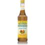 Monin Gingerbread Sugar Free Syrup