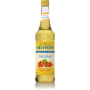 Monin Hazelnut Sugar Free Syrup